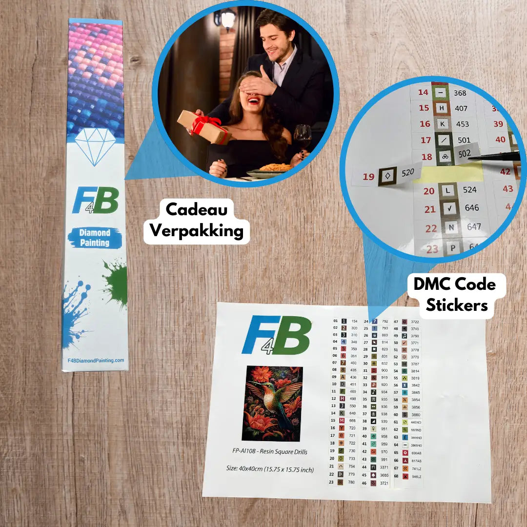 Diamond painting cadeauverpakking met DMC code stickers en voorbeeld van het eindresultaat